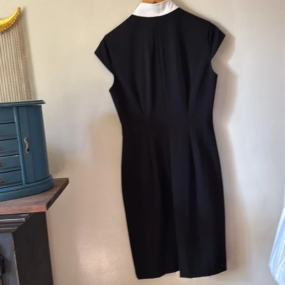 🖤🐼🐑🐧Elegant Black and White Button-Down Dress - Picture 5 of 5